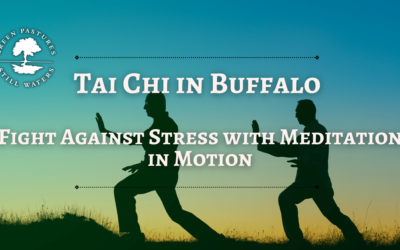 A High Level Look at Tai Chi in Buffalo, NY